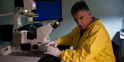 Virus sous le microscope