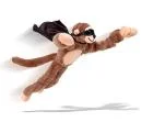 Flying Animals - Flying Monkey Image 1