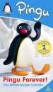 Pingu - Pingu Forever! (The Ultimate Pingu Collection) Image 1
