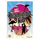 The Flamingo Kid Image 1