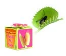 Grow your own Venus Fly Trap Image 1