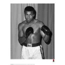 Muhammad Ali Fine Art Print - Stance Image 1
