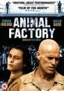 Animal Factory Image 1