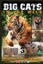 Big Cats 3 DVD Box Set Image 1
