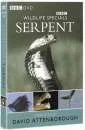 Wildlife Special - Serpent Image 1