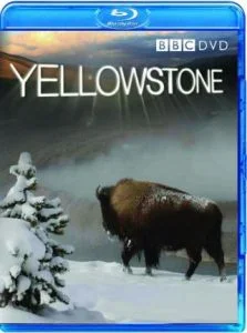 Yellowstone - Tales From The Wild Image 1
