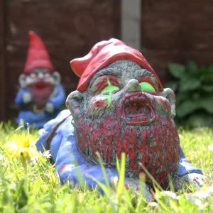 Zombie Gnome Crawler Image 1