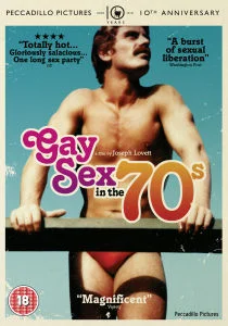 Gay Sex In The 70s Image 1