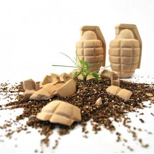 Grenade de Fleurs Throw and Grow Image 1