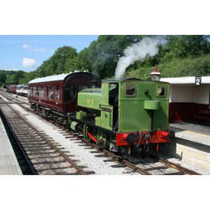 Adult Rover Train Ticket Special Offer Image 1