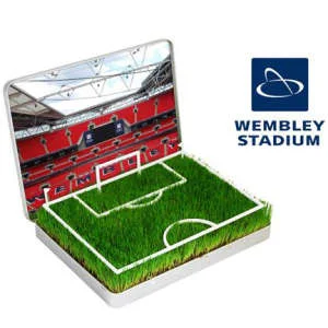 Grow Your Own Wembley Mini Pitch Image 1