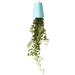 Sky Planter Upside Down Indoor Plant Pot - Pastel Blue Image 1