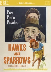 Hawks and Sparrows Image 1