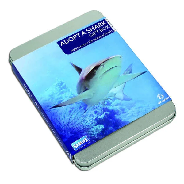 Adopt a Shark Image 1