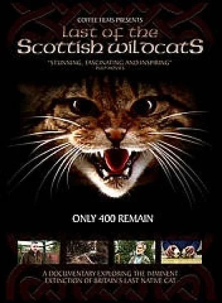 Last Of The Scottish Wildcats Image 1