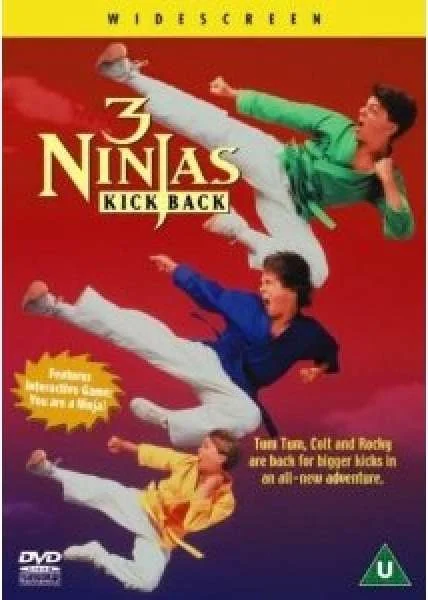 3 Ninjas Kick Back Image 1
