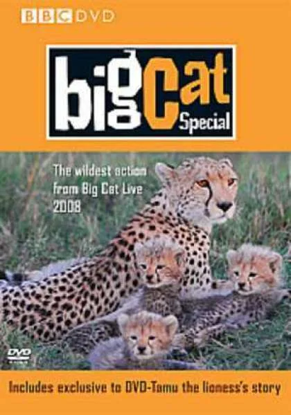 Big Cat Diary - The Special Image 1