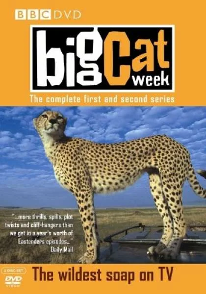 Big Cat Week - Series 1 And 2 Image 1