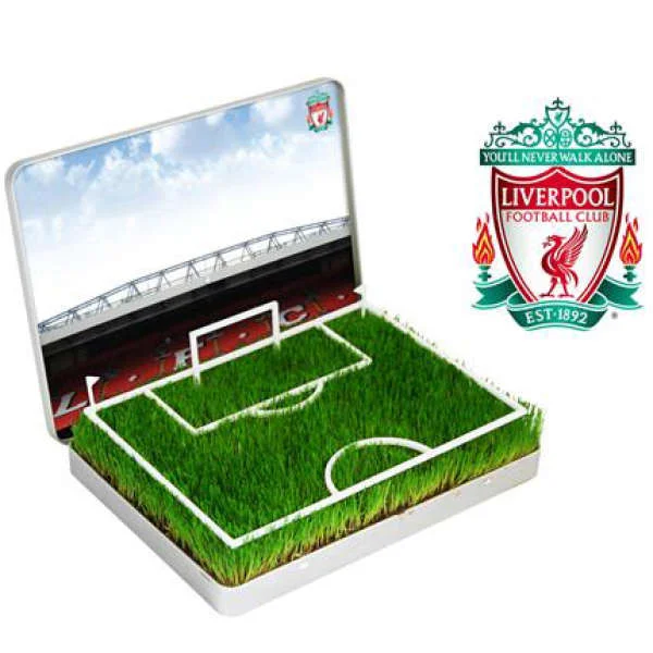 Grow Your Own Liverpool Mini Pitch Image 1