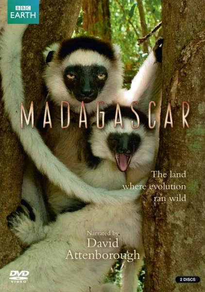 Madagascar Image 1