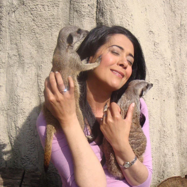 Meet the Meerkats Experience Image 1