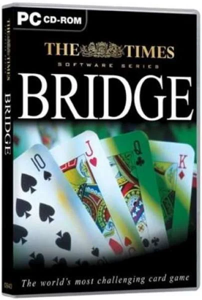 Times Bridge Image 1