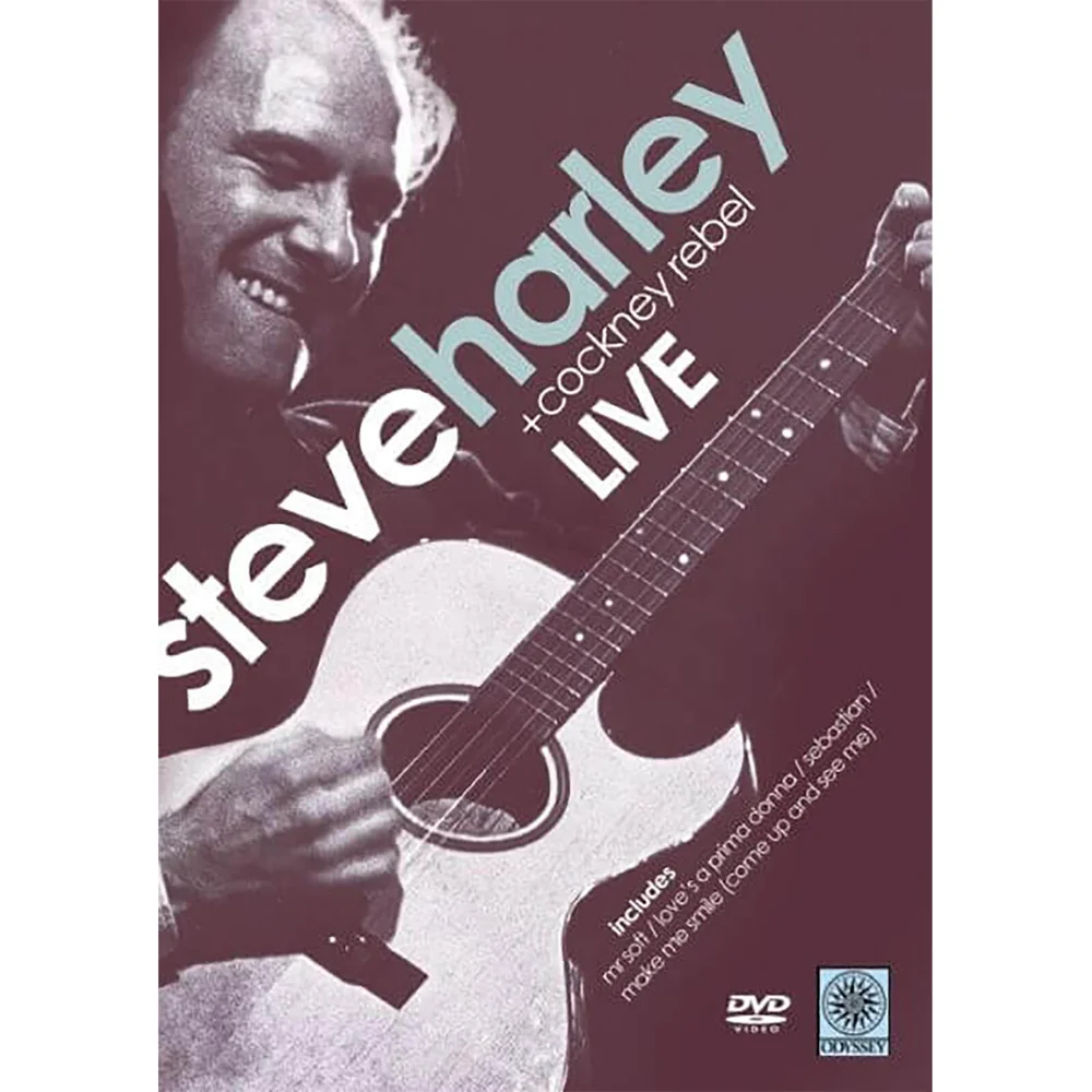 Steve Harley en concert Image 1