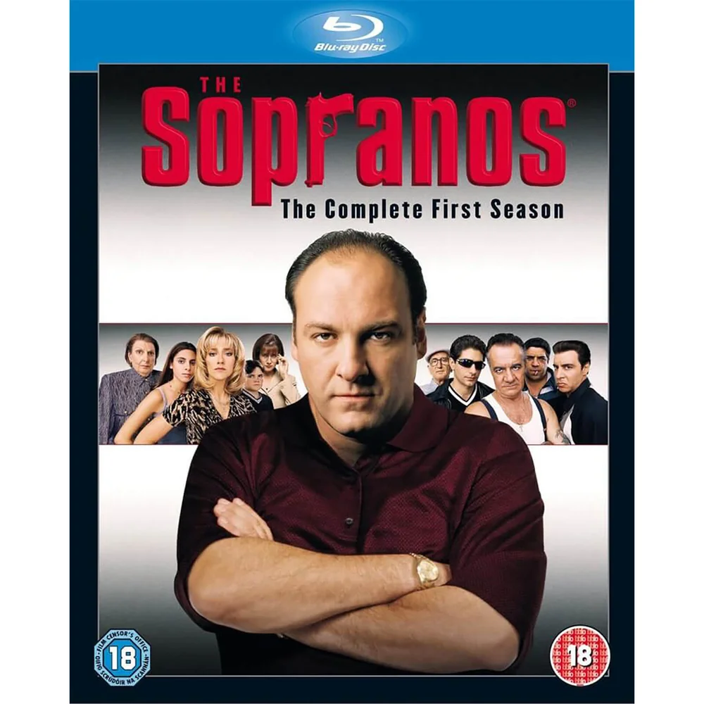 Les Sopranos - Saison 1 Image 1