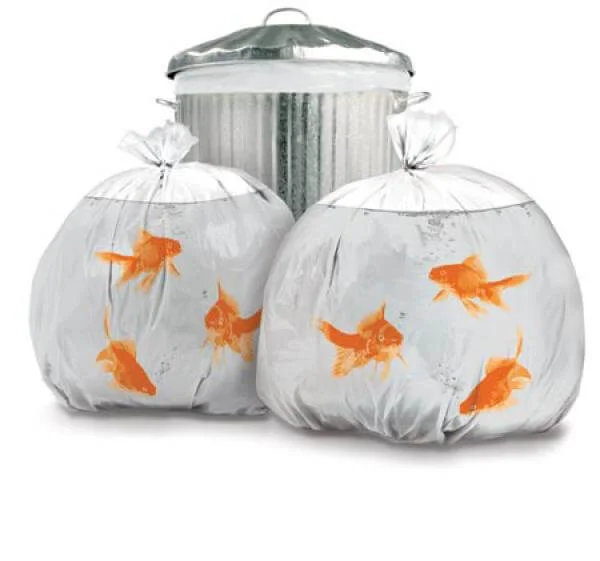 Goldfish Bin Bags Image 1