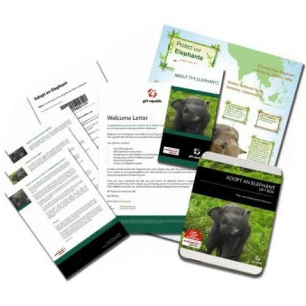 Adopt An Elephant Gift Box Image 1