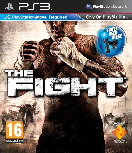 The Fight (Playstation Move) Image 1