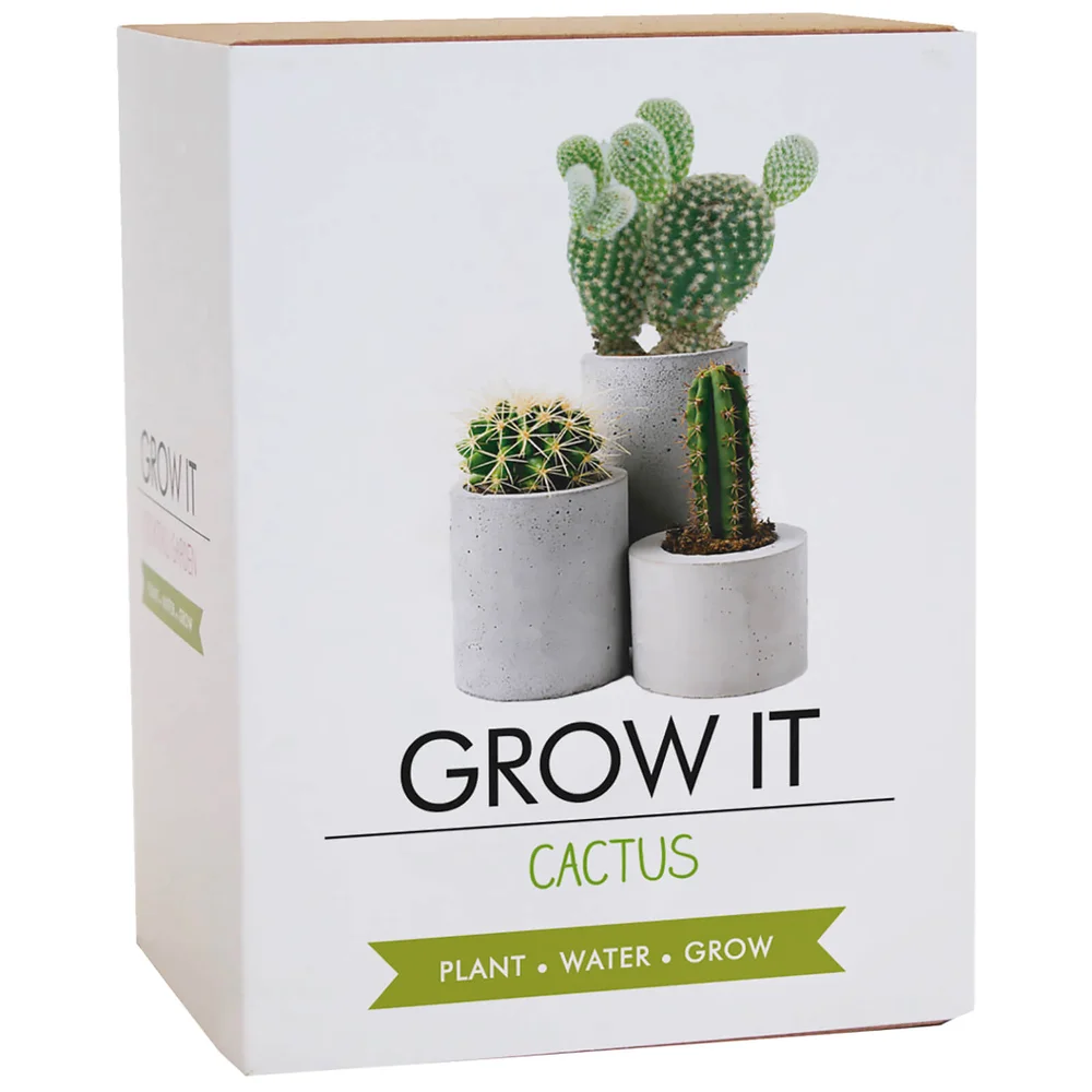 DIY : Plantez-Moi ! Cactus Image 1
