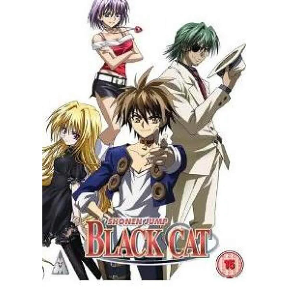 Black Cat: Complete Collection Image 1