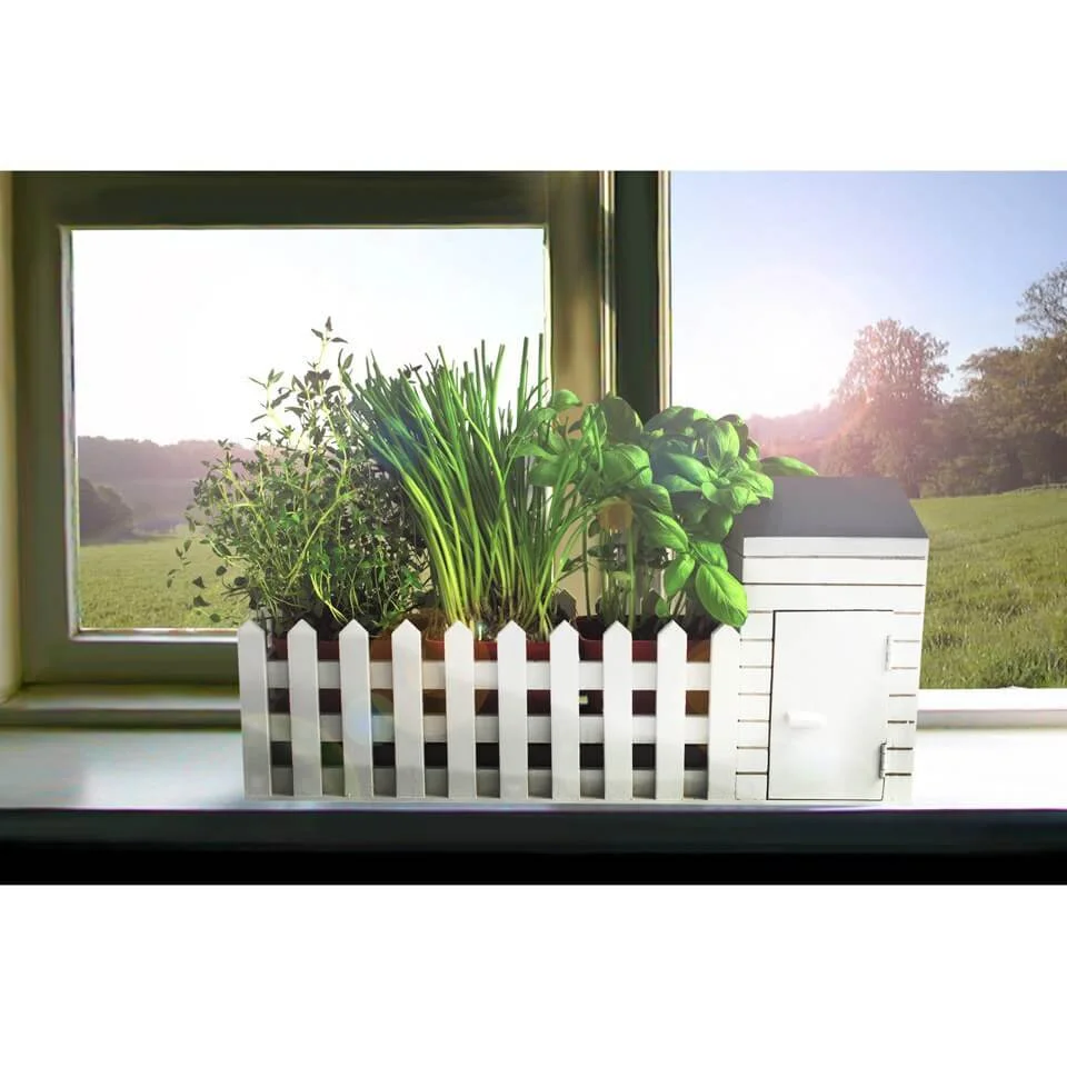 Plantez moi ! Jardin Communautaire et Graines Image 1