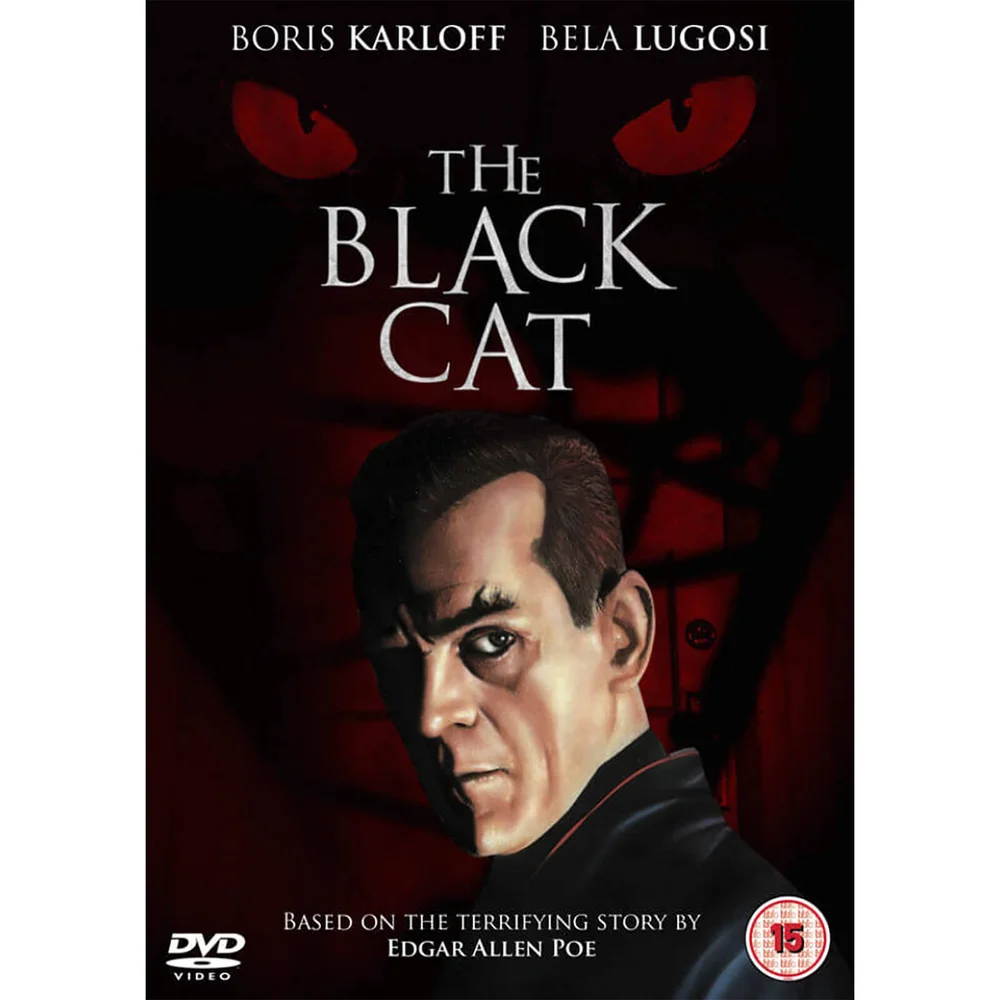 Le Chat Noir Image 1