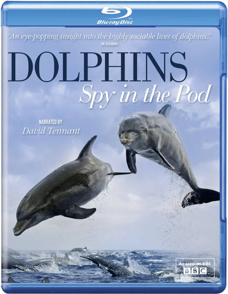 Dolphins Spy in the Pod Image 1