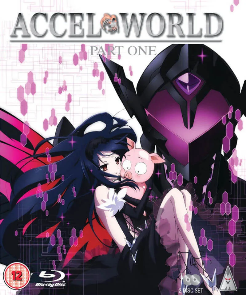 Accel World - Partie 1 Image 1