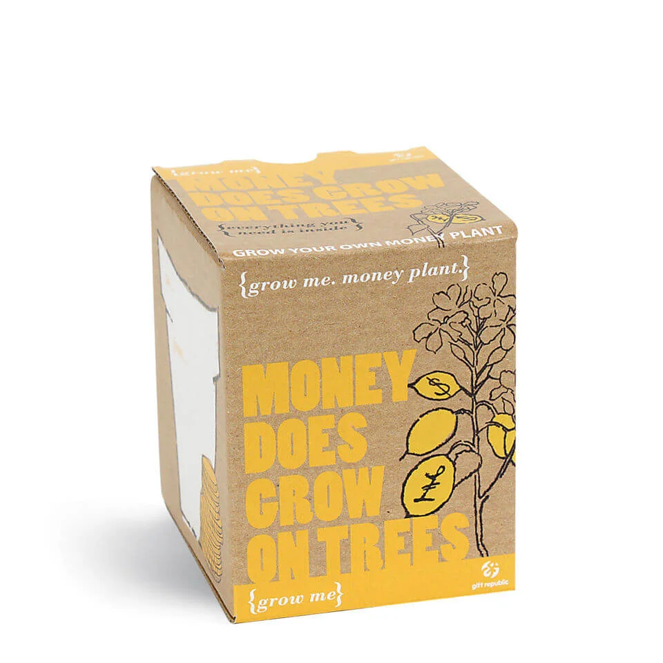 Plantez Moi ! Arbre à Argent Image 1