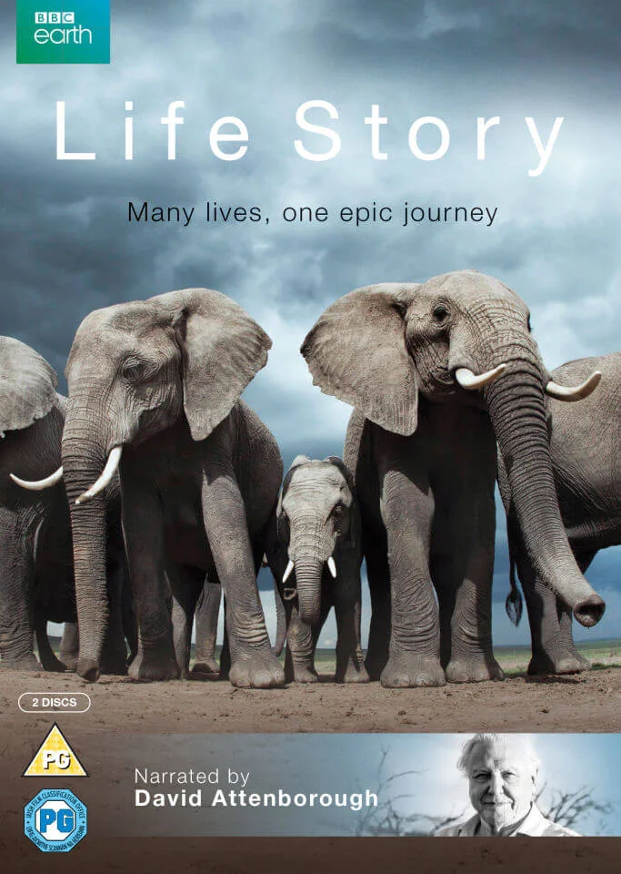 Life Story Image 1