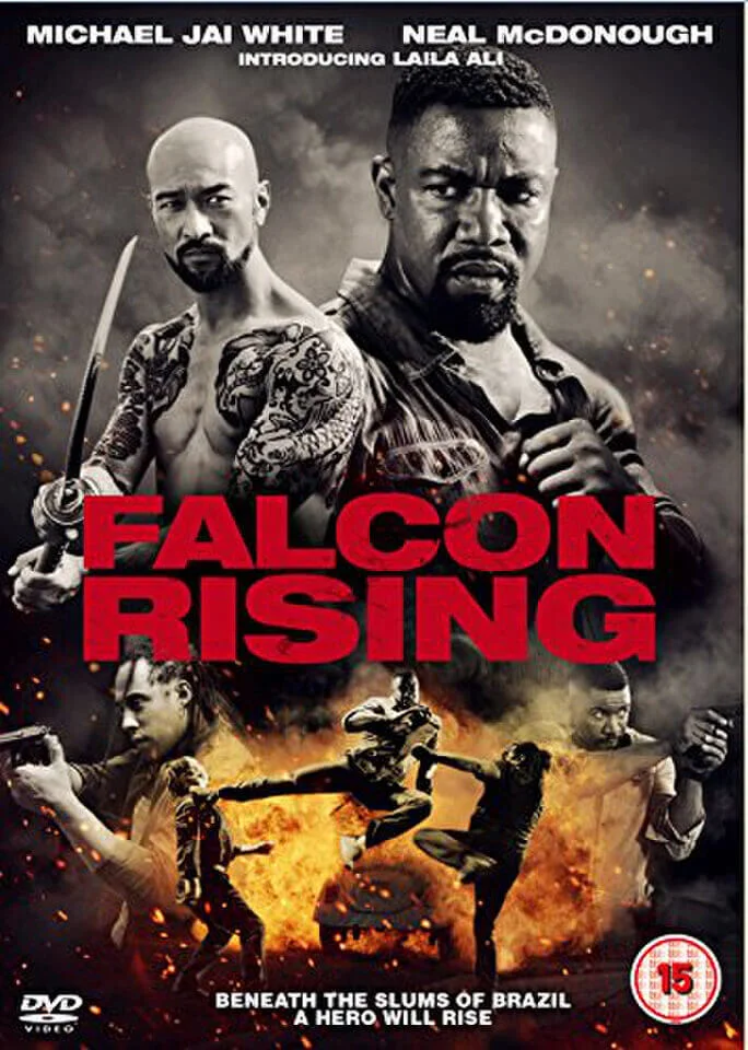 Falcon Rising Image 1