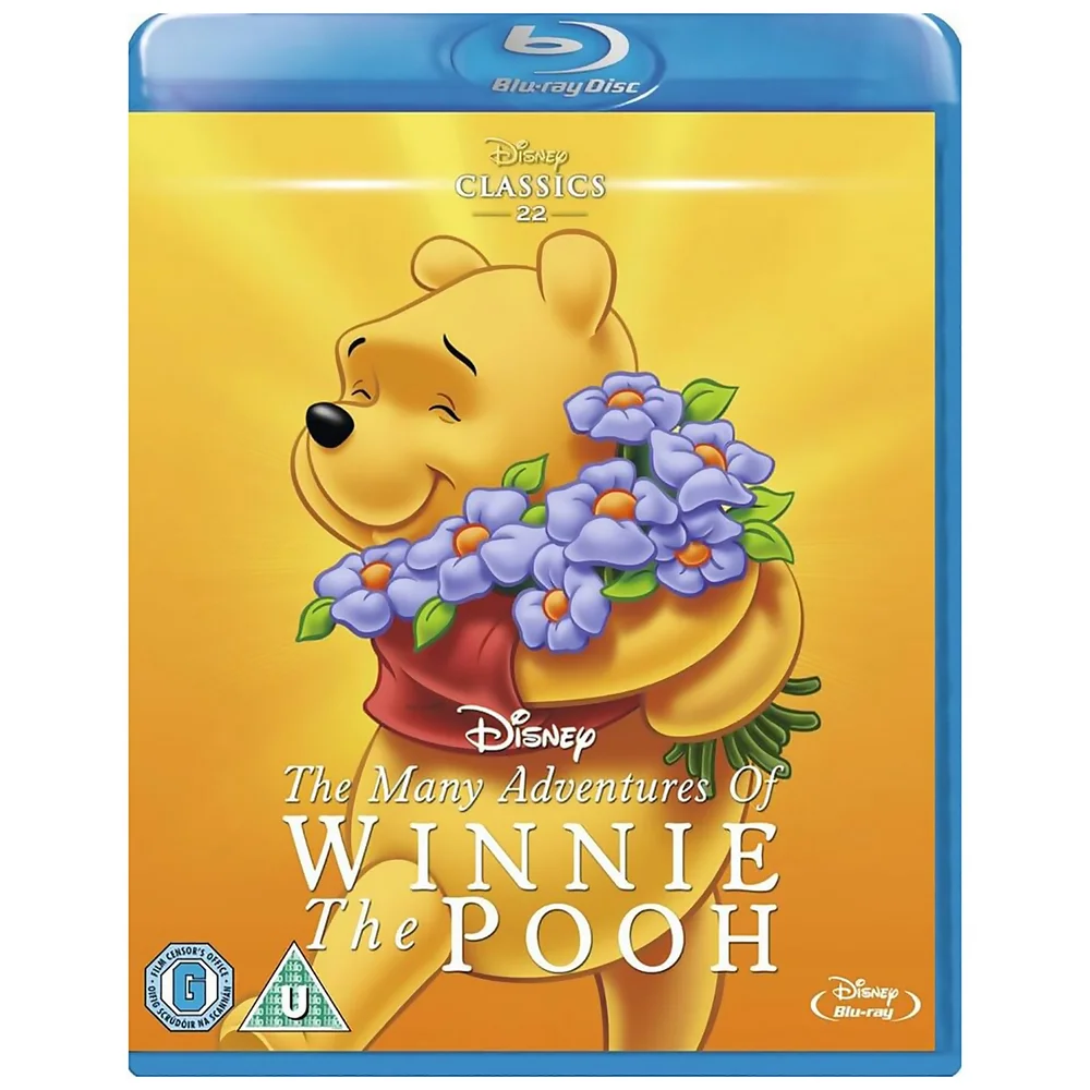 Les nombreuses aventures de Winnie l'ourson Image 1