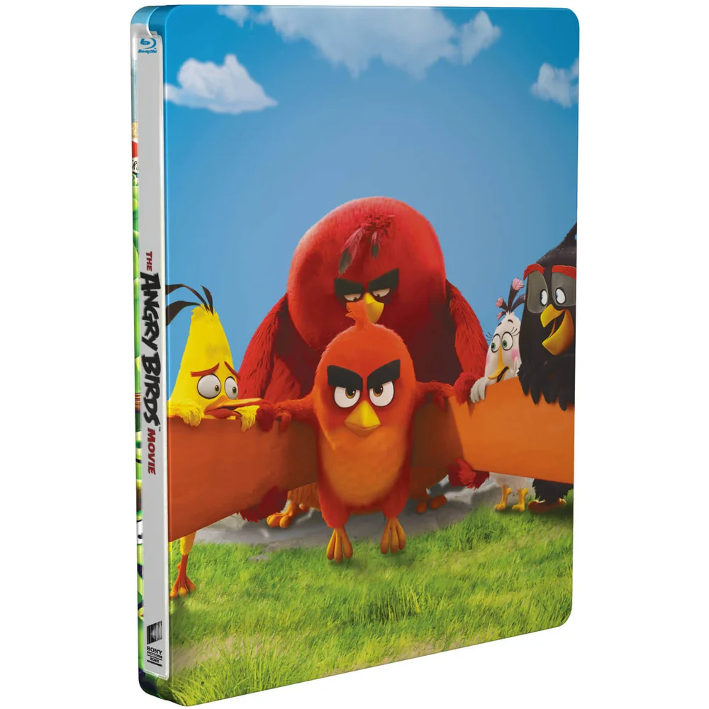 Angry Birds : Le Film - Steelbook Édition Limitée Image 1