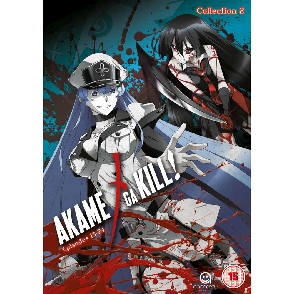 Red Eyes Sword: Akame ga Kill - Collection 2 Image 1