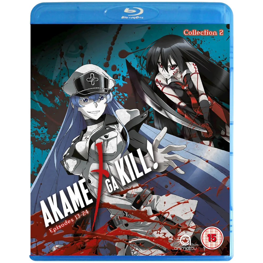 Red Eyes Sword: Akame ga Kill - Collection 2 Image 1
