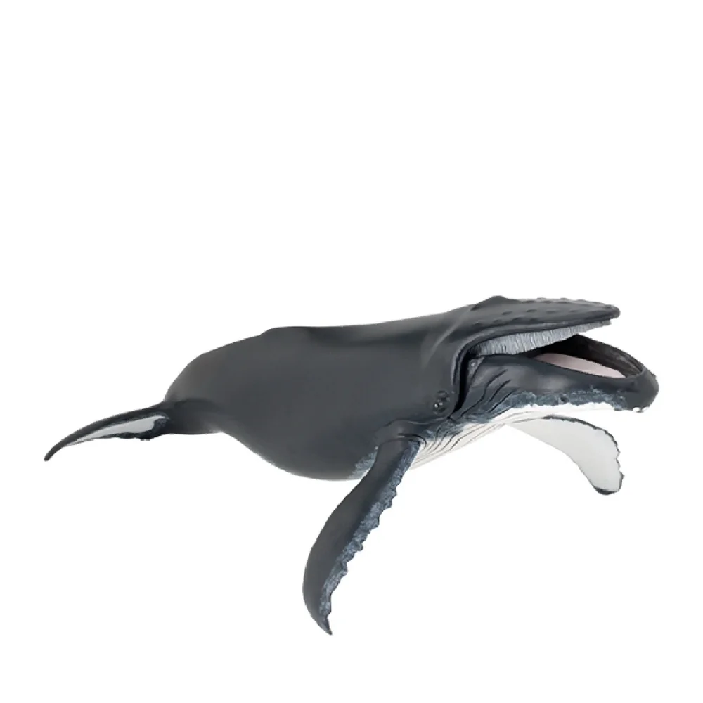 Baleine à bosse - Figurine Papo 56001 Image 1