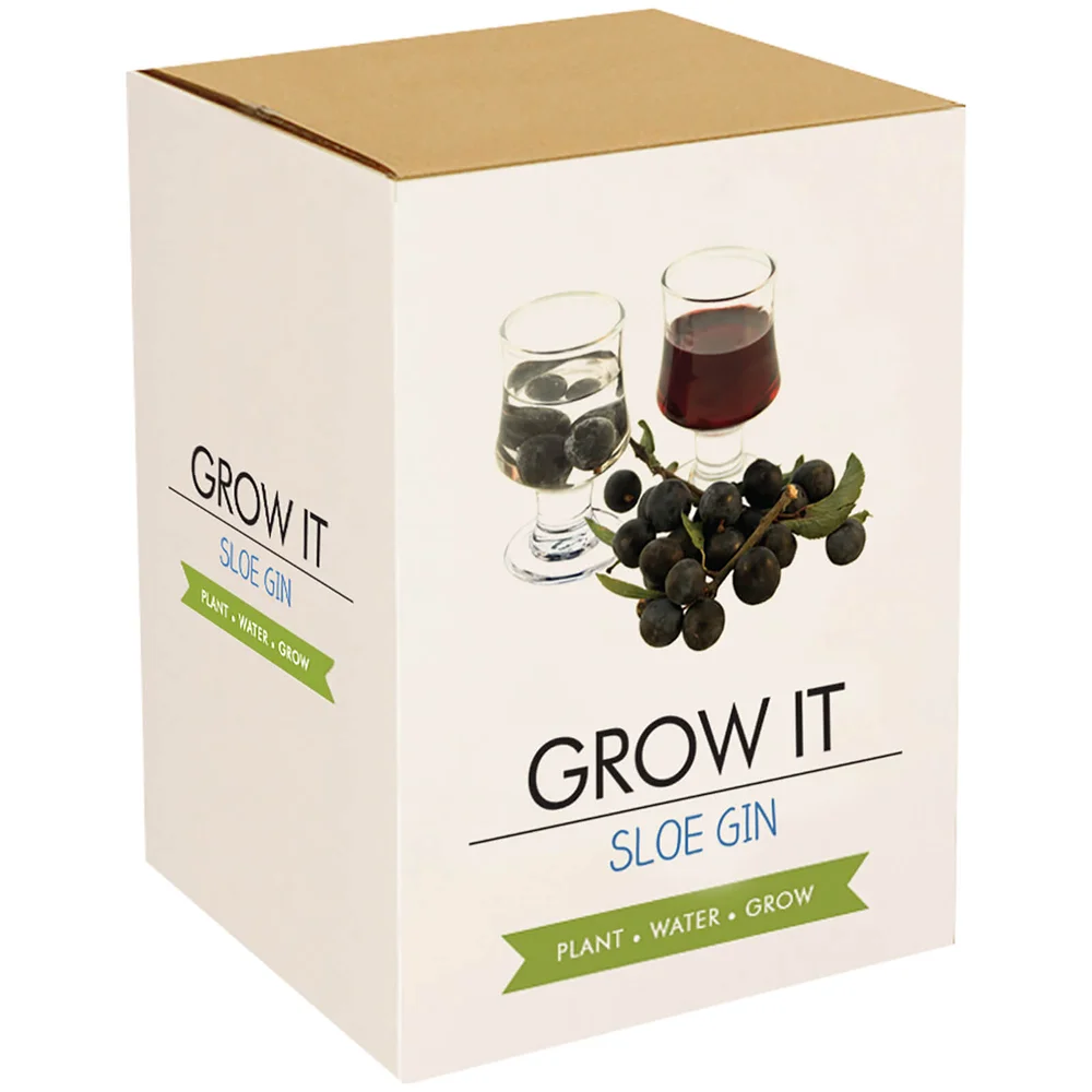 Plantez-moi ! Slow Gin Image 1