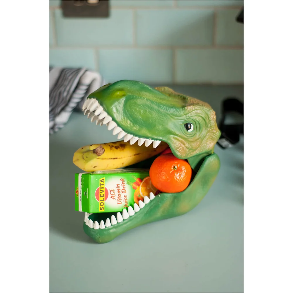 Lunchbox Dinosaure Image 1