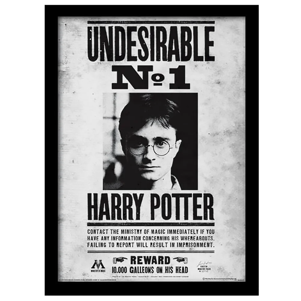 Affiche Encadrée Indésirable Numéro 1 Harry Potter - 30 x 40 cm Image 1