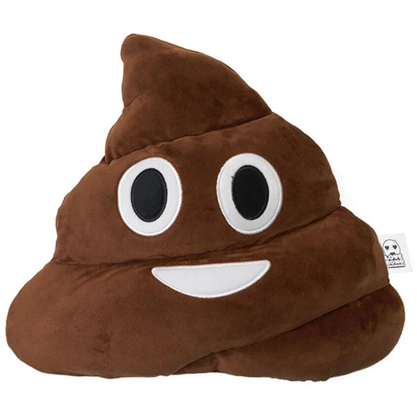 Coussin Emoji - Caca Image 1