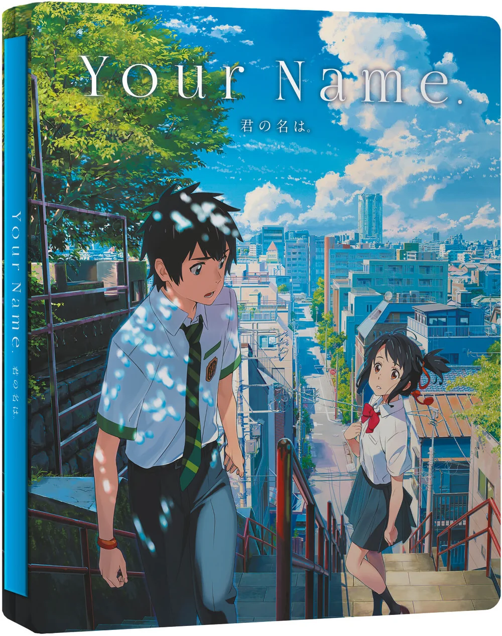 Your Name - Collector's Edition Image 1